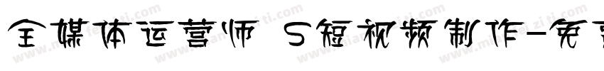 全媒体运营师 S短视频制作字体转换